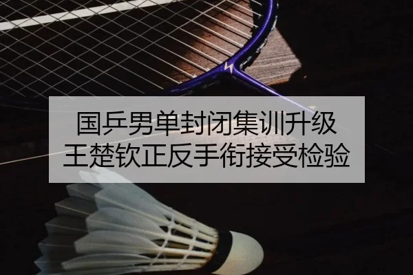 国乒男单封闭集训升级 王楚钦正反手衔接受检验